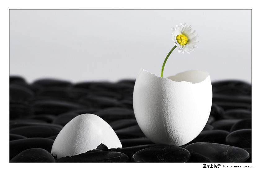 春话白癜风药物治